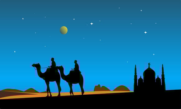 two people on camels in the desert at night vector
