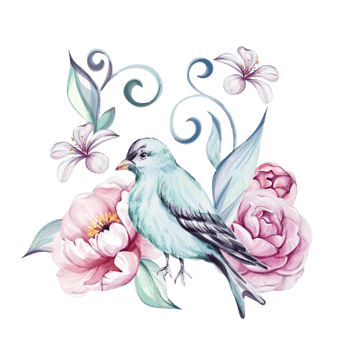Watercolor springtime composition - blue victorian beard and pink roses, flower, brunch and leaves. Springtime botanic. Romantic peony. Isolated. For greeting cards, wedding, fabric, printing png