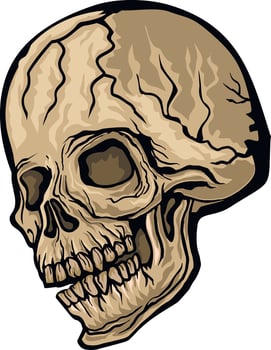 Gothic sign with skull, grunge vintage design t shirts vector