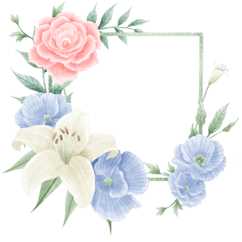 Watercolor Hand drawn illustration 4th of July Independence Day pink rose white lily blue flax flower frame wreath Decoration Illustration Clipart png