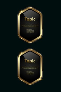 2 Golden multipurpose buttons with luxury stoked in template, two shiny gold options and Premium button on a dark background vector