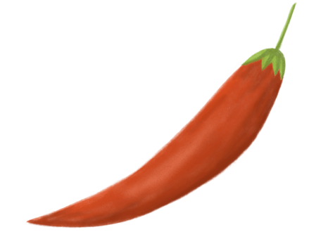 hand drawn illustration of fresh vegetables png