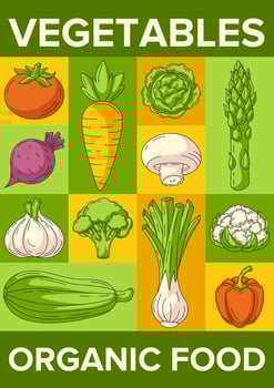 Fresh and healthy farm vegetables, harvesting, organic food. geometric modern vertical poster a4, eco veggies icons. Minimal abstract layout for banner, menu, flyer, cover, farmers market vector