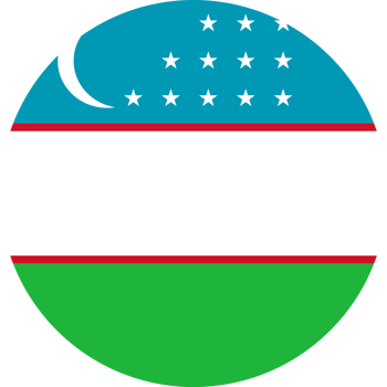 Uzbekistan flag button png