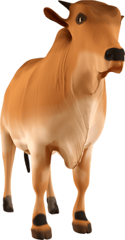 3d brown cow png