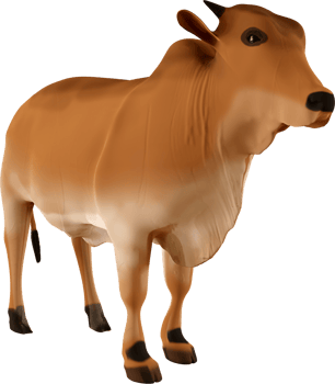 3d brown cow png