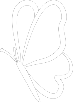 Butterfly shape outline png