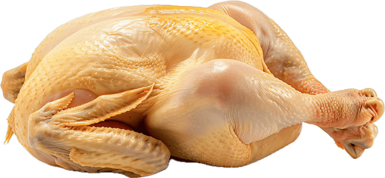 Raw Whole Chicken Ready for Cooking. png