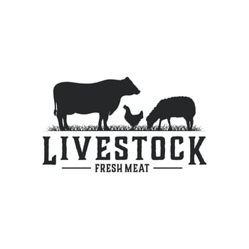 Vintage livestock logo design concept vector