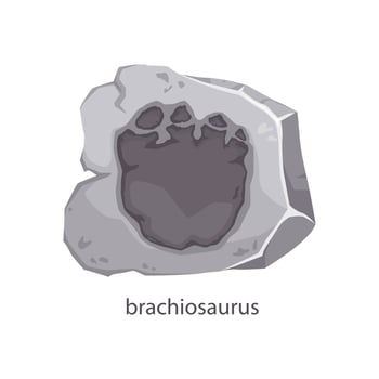 Brachiosaurus dinosaur footprint fossil in stone vector