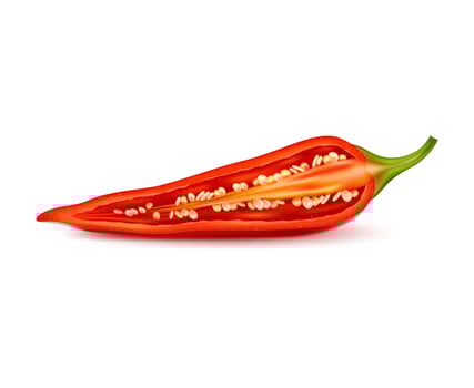 Realistic isolated half chili pepper with seeds vector