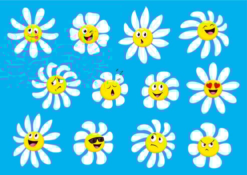 Cartoon chamomile or daisy flower face characters vector