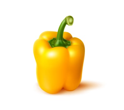 Realistic ripe yellow bell pepper, whole vegetable vector
