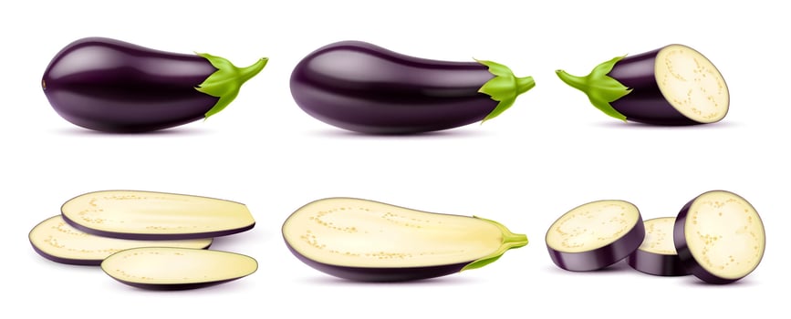 Realistic raw isolated eggplant, aubergine veggie vector