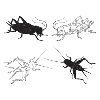Cricket icon design vector