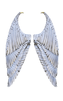 3d Illustration Angel wings, white wing plumage isolated. png