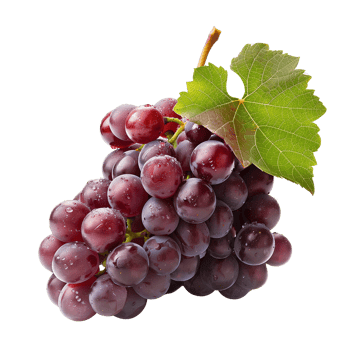 A cluster of grapes, isolated on a transparent background png