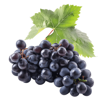 A cluster of grapes, isolated on a transparent background png