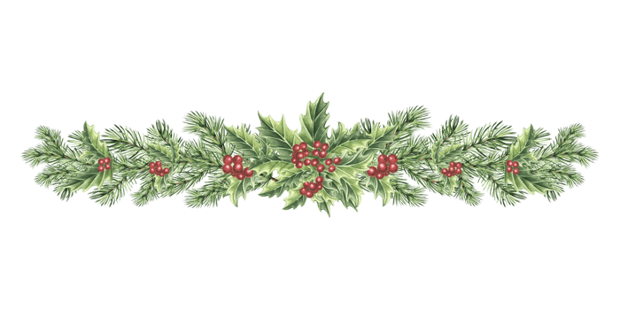 Pine tree branch with holly in vintage. Christmas decorating. Winter plant for New Year design. Spruce Fir twigs green. Hand drawn watercolor illustration. Template for wrapping, textile, card, window png