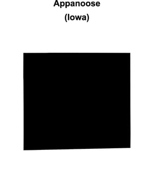 Appanoose County, Iowa blank outline map vector