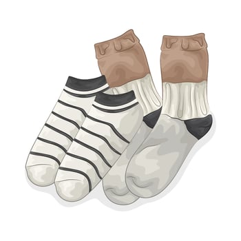 Illustration of women socks vector