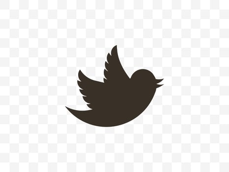 Bird, nature icon. illustration, flat design. vector