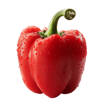A fresh red pepper with water droplets isolated on a transparent background png