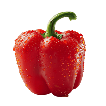 A fresh red pepper with water droplets isolated on a transparent background png