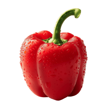 A fresh red pepper with water droplets isolated on a transparent background png