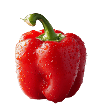 A fresh red pepper with water droplets isolated on a transparent background png
