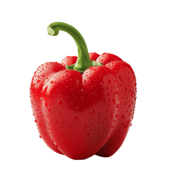 A fresh red pepper with water droplets isolated on a transparent background png