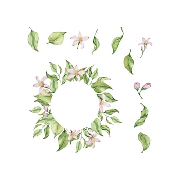 Watercolor lemon frame set with fruit, slice, leaves and flowers vector