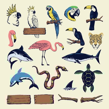 Hand Drawn of Tropical Animal Illustration Set vector