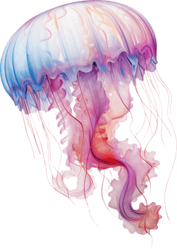 Jellyfish isolated on transparent background png