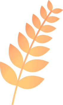 ear of rice png