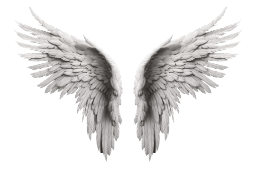 White wings isolated on transparent background png