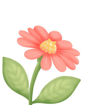 Drawing beautiful flower png