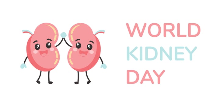 World Kidney Day healthy poster. Human kidney health awareness background vector