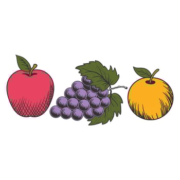 Vintage Retro Apple Grape Orange Lemon Citrus Illustration vector