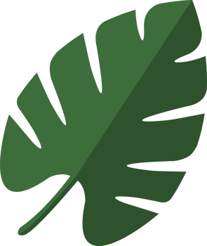 Palm tree leave, Monstera tropical plant on white background illustration png