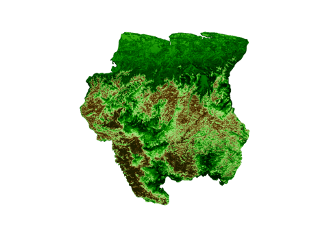 Suriname Topographic Map 3d realistic map Color 3d illustration png