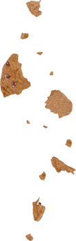 broken cookies with chocolate chips falling in the air png