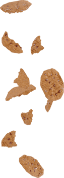 cookies with chocolate chips flying in the air png