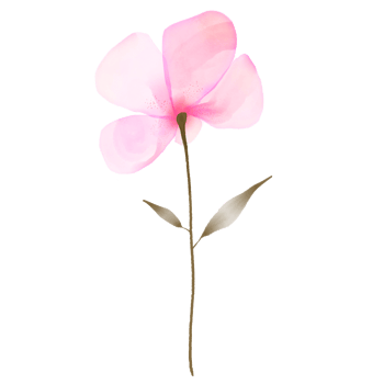 A Pink Watercolour Flower with a Green Stem and Leaves on a Transparent Background png
