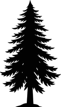A black silhouette of a pine tree vector