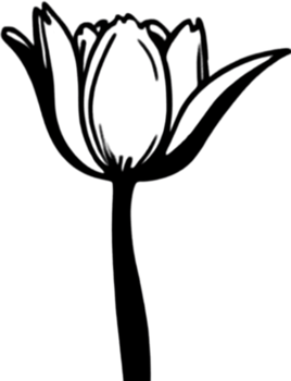 Charming tulip clipart adds spring vibes. AI-generated. png