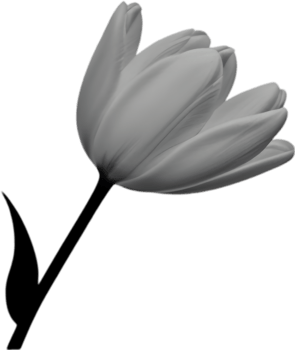 Charming tulip clipart adds spring vibes. AI-generated. png