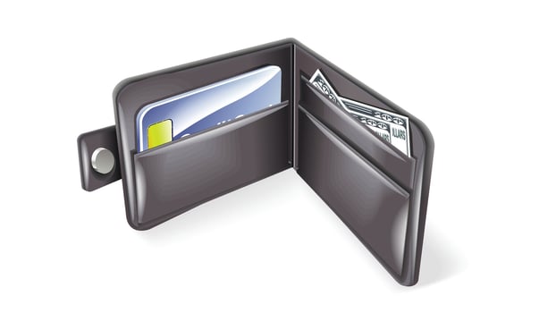 financial concept money wallet isolated illustration vector