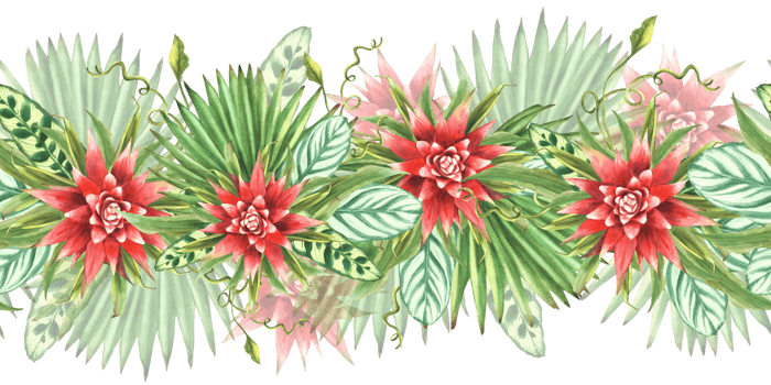 Tropical leaves with red flowers, palm leaf, curly creeper, home plant greenery. Seamless border, pattern Exotic Hawaiian jungle floral clipart Watercolor painted illustration on isolated background png