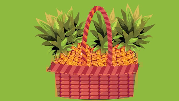 Fruit basket for gifting and home decoration illustration vector